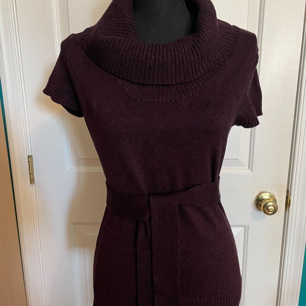 Like New! INC International Concepts Plum Short Sleeve Silk Blend Sweater Size S - Picture 6 of 15